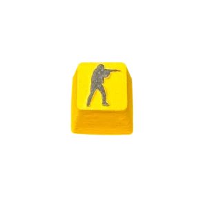 cs (2)