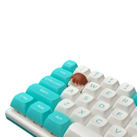 nami 1