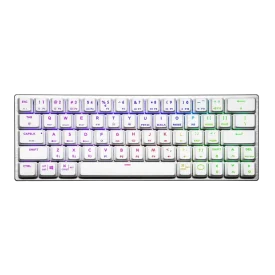 sk622-white-1