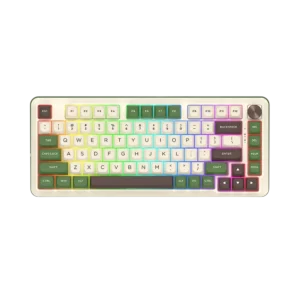 کیبورد بی سیم/باسیم مکانیکال ردراگون Redragon Cyrus K861 CGC RGB PRO